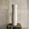 Tempaper The Collector's Study Peel and Stick Wallpaper by Jeremiah Brent, 60 sq. ft.